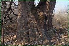 0_c5d33_346c2135_orig.jpg