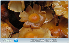 0_ead34_4ec1e9af_orig.png