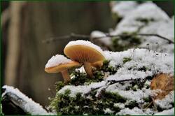 0_153b67_621f17de_orig.jpg