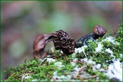 0_155617_922acb16_orig.jpg