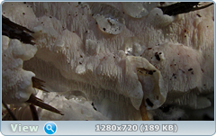 0_fc14f_87a9a27b_orig.png