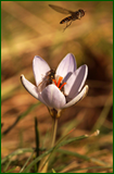 0_1071f3_a5ede9ca_orig.png