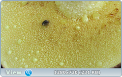 0_f9c07_808916be_orig.png