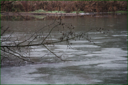 0_110784_5902fe38_orig.png