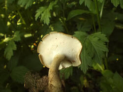 0_e7082_56eb173b_M.jpg