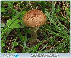 0_eb086_7fe7f68a_orig.png