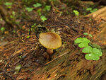 0_baa26_37a07697_S.jpg