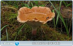 0_e6cf9_c5a1d7_orig.png