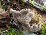 0_cf715_668bf88c_S.jpg