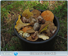 0_eb07c_c9b14f36_orig.png