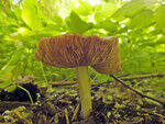 0_ae47d_f51c154_S.jpg