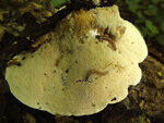 0_bc594_d6dc3771_S.jpg