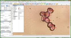 0_edf66_2120294a_orig.jpg