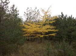 0_d3c72_38861b06_M.jpg