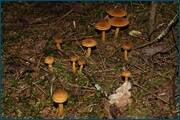 0_d61b8_4f775a82_orig.jpg