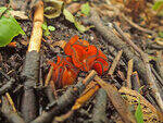 0_bb553_9753980f_S.jpg