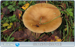 0_f2808_e30183c6_orig.png