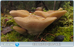0_f281a_33cf43f9_orig.png