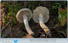 0_ef3b4_2ede6b2c_orig.png