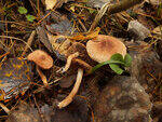 0_cc09d_4805ec0e_S.jpg