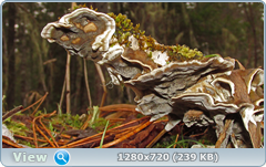 0_fc16d_57912af0_orig.png