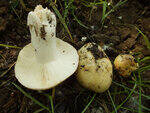 0_ae376_6743dd88_S.jpg