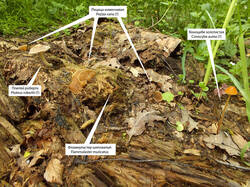 0_bc533_acebc135_L.jpg