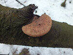 0_d3c72_72435d_S.jpg