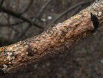 0_d3e66_888d5fc5_S.jpg