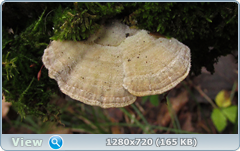 0_f6dee_ffa278_orig.png
