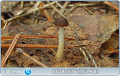 0_137ac2_4886f9f9_orig.png