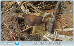 0_137aca_7186a3d9_orig.png