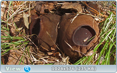 0_137b31_562a2c18_orig.png