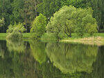 0_ad809_71ac5701_S.jpg