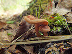 0_ba414_9583b454_S.jpg