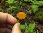 0_c38ca_f5603f17_S.jpg