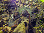 0_bc545_136fcc6d_S.jpg