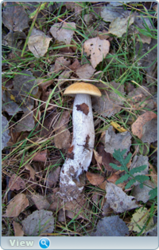 0_f40a0_56f9ef51_orig.png