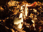 0_c1b5d_82fd0958_S.jpg