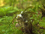 0_c1b7a_ec00e709_S.jpg