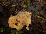 0_cff85_a963523c_S.jpg