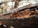 0_d3eab_6963be8d_S.jpg