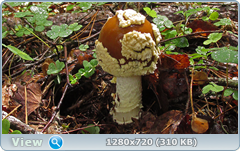 0_fbb84_a45c9c6e_orig.png