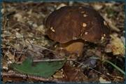 0_d2ac0_22c4ab66_orig.jpg