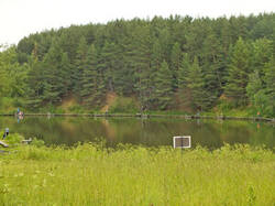 0_af3e0_7fa09330_M.jpg