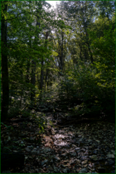 0_d963b_87a2b154_orig.png