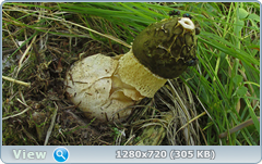 0_fbe55_e8c09157_orig.png