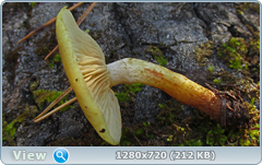 0_f381c_28ebc059_orig.png