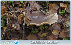 0_f386c_309ddcf0_orig.png