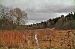 0_154a8c_646b3290_orig.jpg